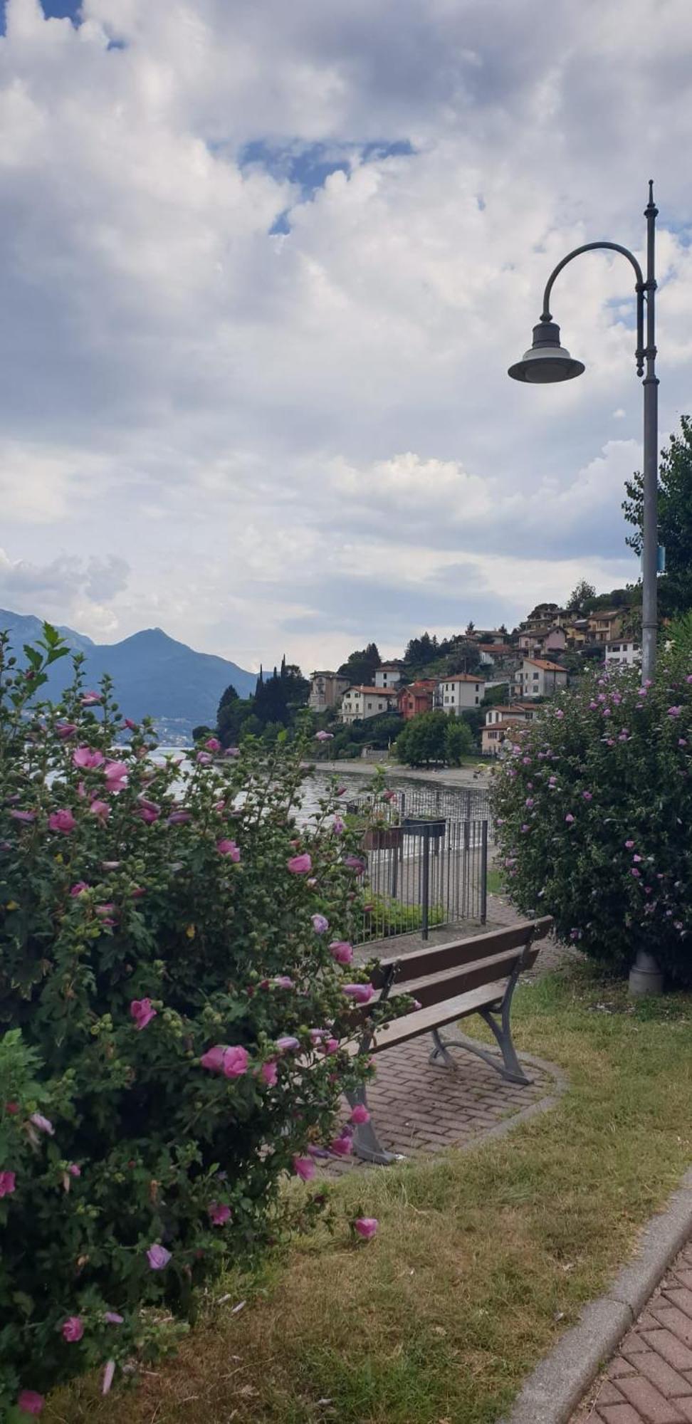 Residence Laguna Beach Pianello Del Lario Экстерьер фото