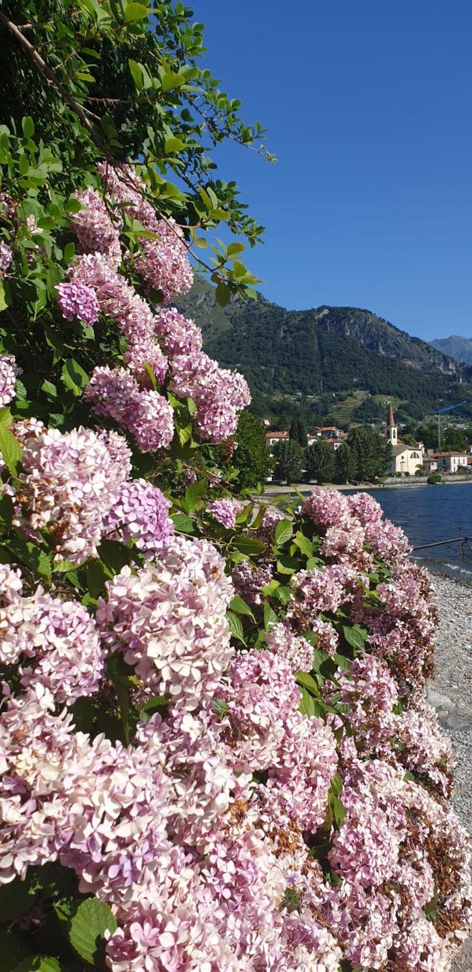 Residence Laguna Beach Pianello Del Lario Экстерьер фото