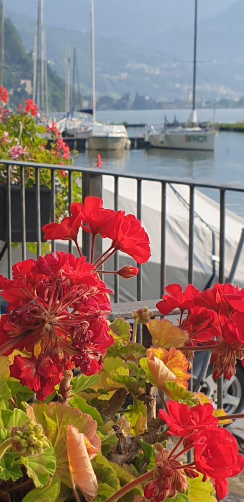 Residence Laguna Beach Pianello Del Lario Экстерьер фото
